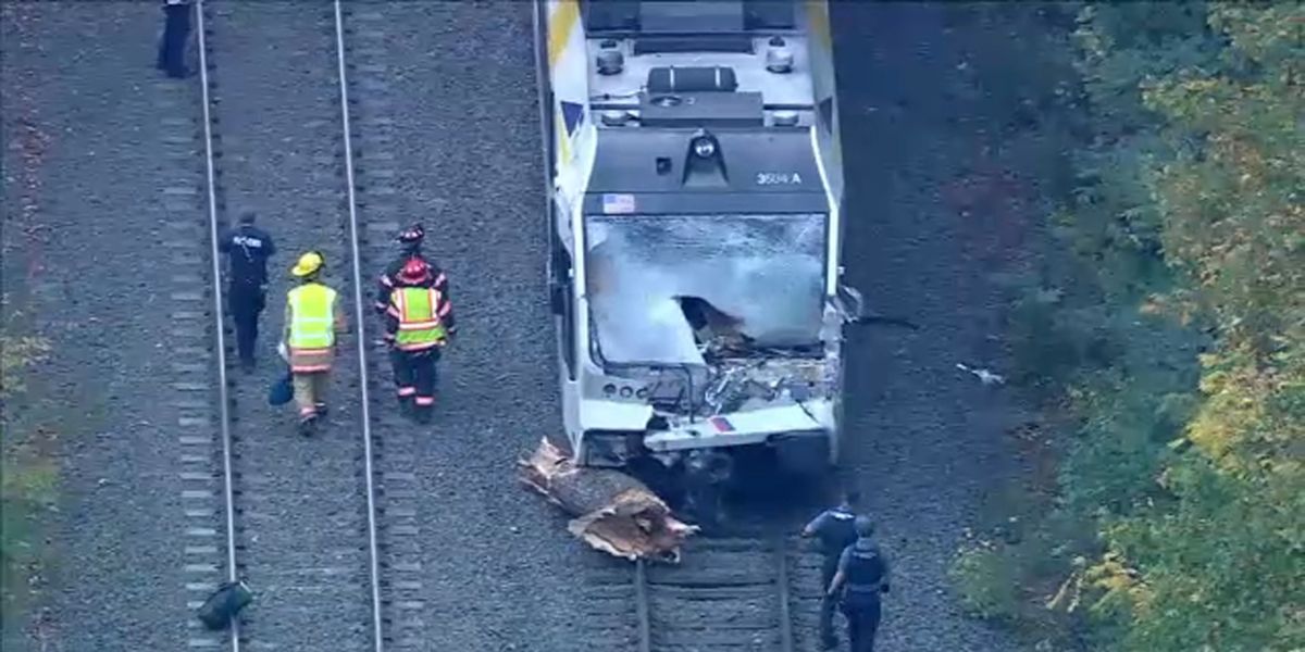Train Hits Tree in New Jersey Operator Killed, 23 Passengers Hurt