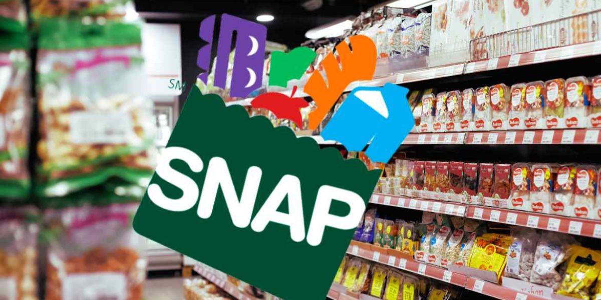 Urgent SNAP Update How to Access Food Stamps of Up to $1,756 Fast in New York