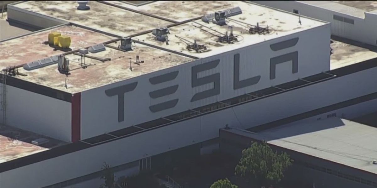 Woman Alleges Tesla Fired Her Over Harassment Report in Austin Plant