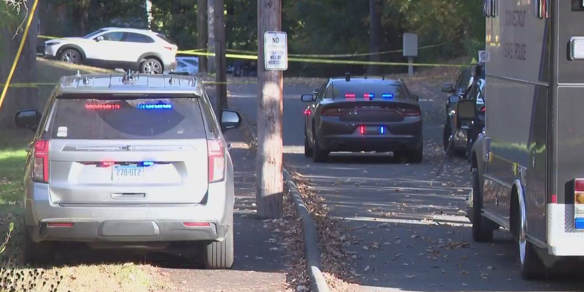 Woodbury Officer in Critical Condition After Stabbing During Routine Traffic Stop