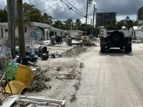 50-Foot Debris Pile in Florida Town, Left by Hurricanes Helene and Milton, Now Gone