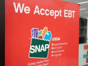 $975 SNAP Payments Set for Late November Is Your State Eligible