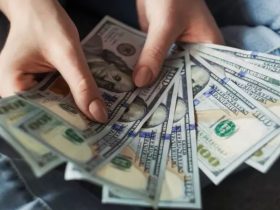 Already Receiving SNAP Payments How WIC Can Support Your Family in 2024