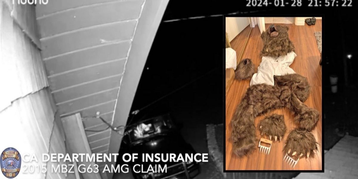 California Officials Bust Group in Fake Bear Attack Scheme on High-End Cars for Insurance Claims