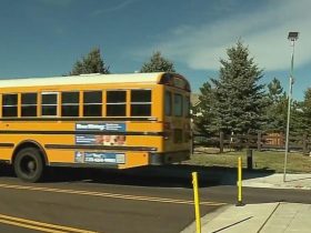 Colorado Bus Driver Fired After Stranding 40 Kids in Freezing Weather