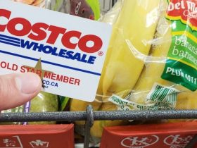 Costco Restricts Non-Members New Policy Limits Access to Shoppers Only