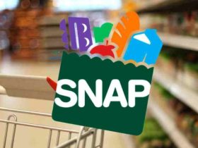 D-SNAP Benefit Claims Closing Soon in 7 Counties, Here’s What You Need to Know