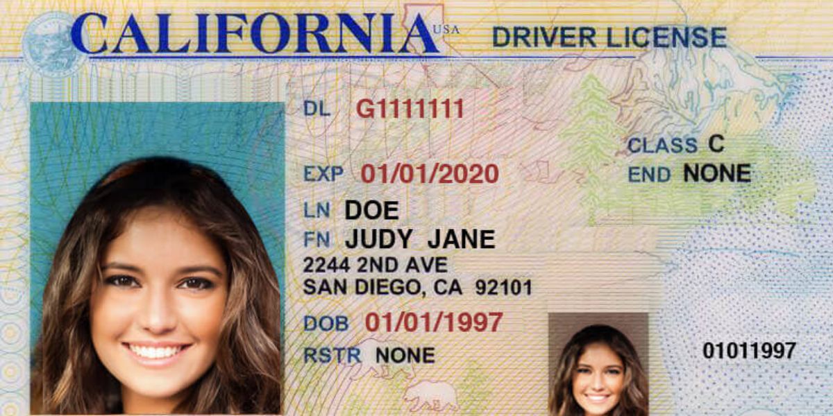 DMV Announces Free Driver’s License for Eligible Applicants, Here’s How to Qualify