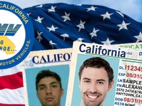 DMV Confirms Your License Is No Longer Accepted for Travel in the Country