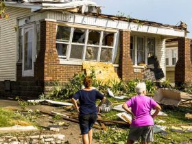 Disaster Benefits Which State Is Accepting DSNAP Applications