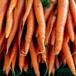 E. Coli Contamination Leads to Carrot Recall See Which Products Are Included