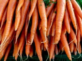 E. Coli Contamination Leads to Carrot Recall See Which Products Are Included