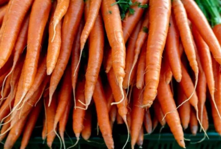 E. Coli Contamination Leads to Carrot Recall See Which Products Are Included