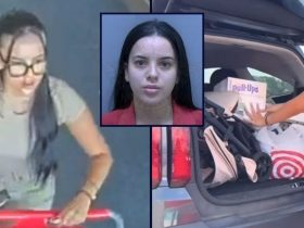 Florida Woman Uses Fake Barcodes to Steal from Target, Flaunts Stolen Goods on TikTok