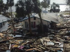 Florida’s Biggest Insurer Under Scrutiny for Rejecting Hurricane Damage Claims