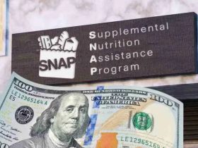 Food Stamps for Students How to Get Up to $292 in SNAP Benefits