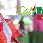 How to Apply for Food Stamps and Receive Up to $1,756 in California