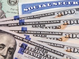 How to Receive Up to $3,822 from Social Security in November, Follow These Steps