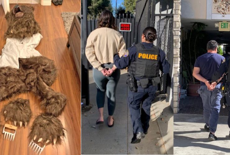 Human in Bear Costume Leads to 4 Arrests in California Insurance Scheme
