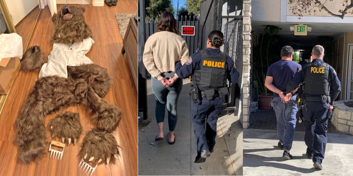 Human in Bear Costume Leads to 4 Arrests in California Insurance Scheme