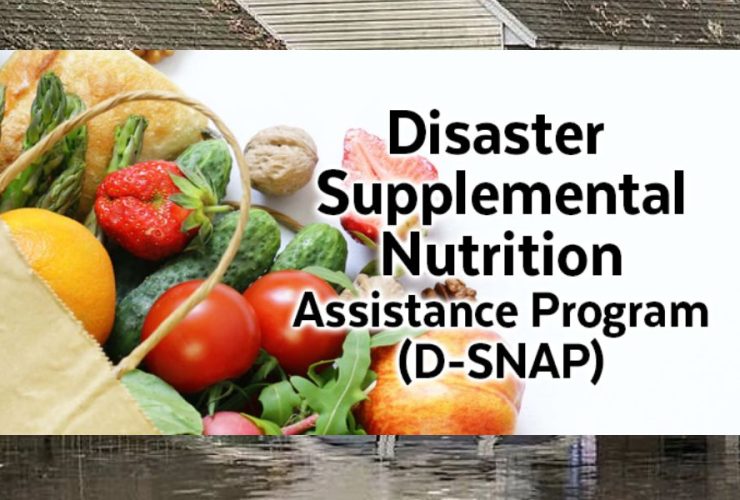 Hurricane Victims in South Carolina Can Apply for D-SNAP Assistance Starting Now