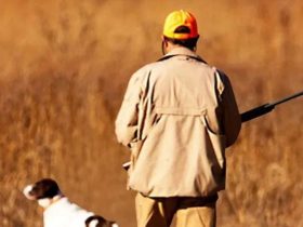 Kansas Introduces New Licenses for Hunting and Fishing After Lifetime Option for Seniors Ends