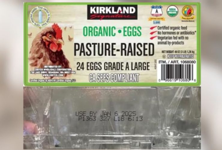 Kirkland Organic Egg Recall Affects Multiple States, Including Georgia, Over Salmonella Concern