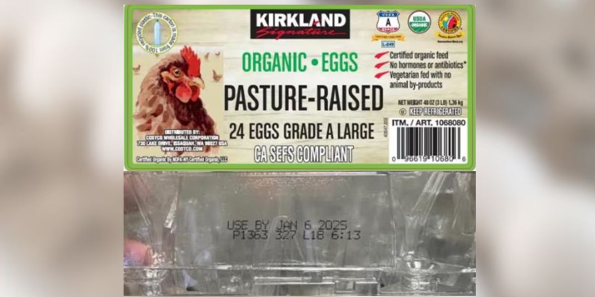 Kirkland Organic Egg Recall Affects Multiple States, Including Georgia, Over Salmonella Concern