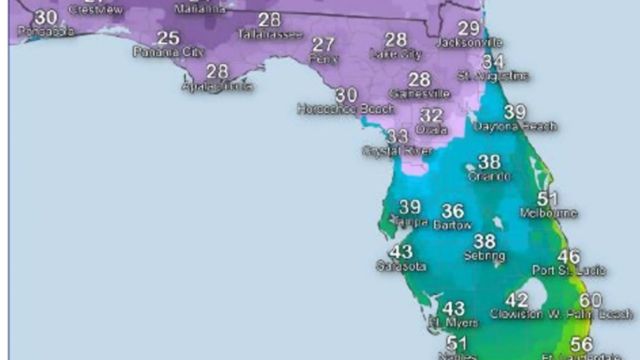 Map Reveals Florida Cities Facing Freezing Temperatures as Polar Cold Front Arrives