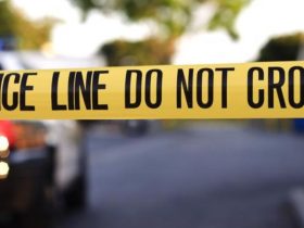 Mother in Critical Condition After 14-year-old Daughter Stabs Her During Domestic Dispute in Graceton