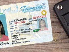 New Update Tennessee to Impose New Driver's License Rule for Some Newcomers