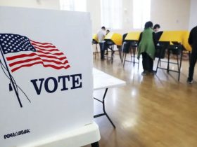 Election Day Brings Dozens of Ballot Measures on Life, Taxes, and Other Critical Issues