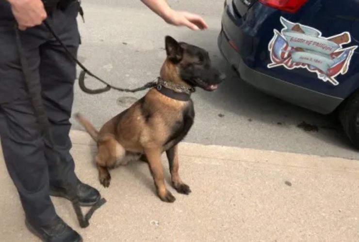 Police K9 Fund Seeks Donations to Support Units Across West Virginia