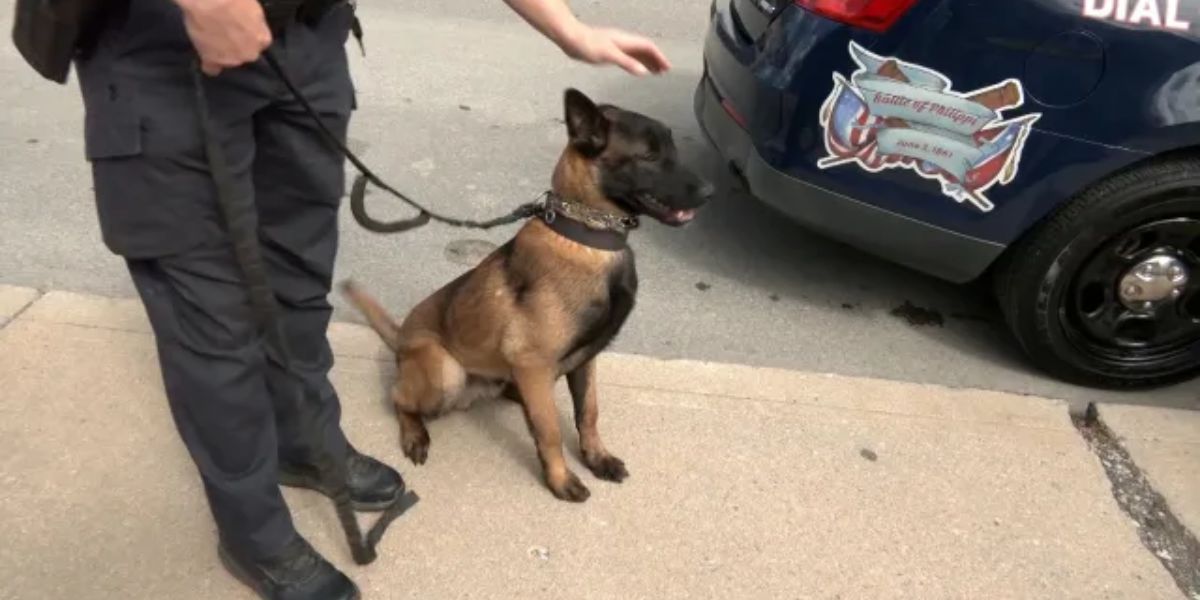 Police K9 Fund Seeks Donations to Support Units Across West Virginia