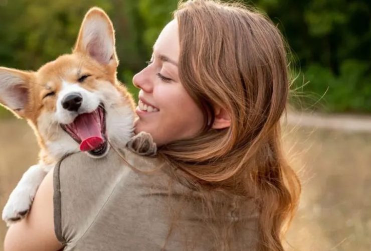 Relocating to Florida with Pets Rules and Advice for a Trouble-Free Transfer in 2024
