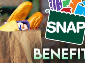 South Carolina Launches D-SNAP Program for Those Affected by Recent Hurricanes, Apply Now!