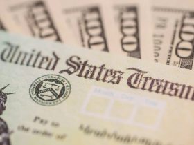 State Stimulus Update Will You Receive a State Stimulus Check Before Black Friday