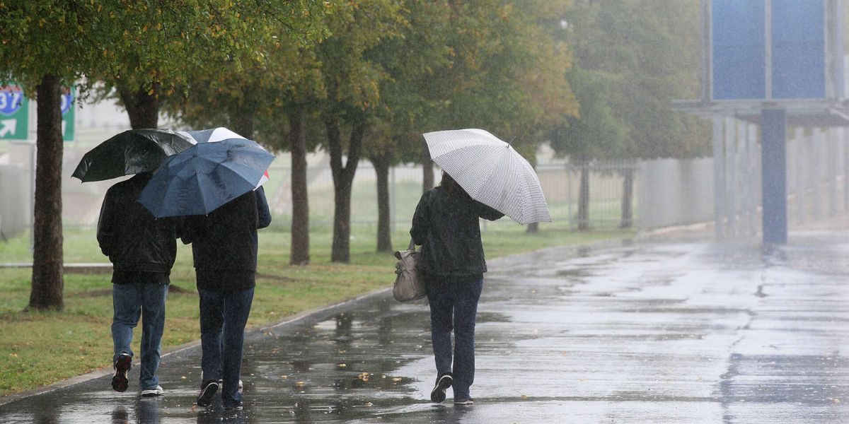 Stormy Weather Ahead Heavy Showers and Thunderstorms in Parts of Kentucky, Tennessee, and Alabama