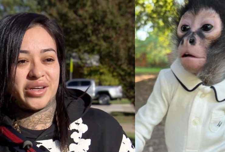 Texas Influencer Pleads for Return of Beloved Monkey After Drunk Driving Incident