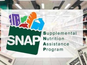 When Will SNAP Benefits Be Available in Florida Important Dates to Know