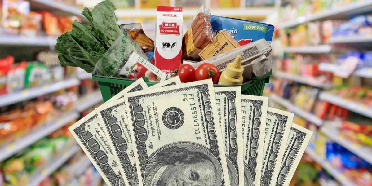 When Will You Receive Your December SNAP Payment in Florida Check the Schedule