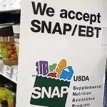 Who’s Eligible for SNAP Texas Payments This Week Dates and Details