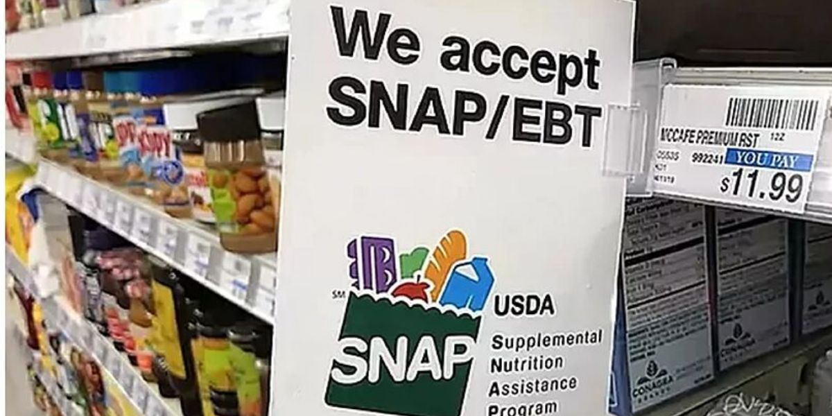 Who’s Eligible for SNAP Texas Payments This Week Dates and Details