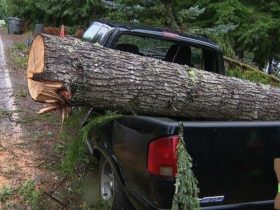 Apply for Bomb Cyclone Disaster Assistance: Deadline for Homeowners and Businesses is February 21