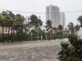 2024 Atlantic Hurricane Season A 'Hyperactive' Year with 3 Landfalling Hurricanes in Florida