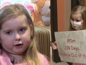 8-Year-Old Girl in Indiana Saved by Lifesaving Heart Transplant Just Before the Holidays