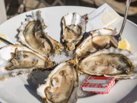 80 Attendees Fall Ill with Norovirus After Eating Raw Oysters at LA Restaurant Gathering