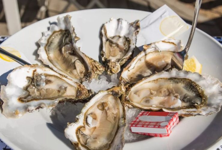 80 Attendees Fall Ill with Norovirus After Eating Raw Oysters at LA Restaurant Gathering