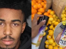 Arizona Man Arrested After Filming Himself Spraying Bug Killer Pesticide on Walmart Food