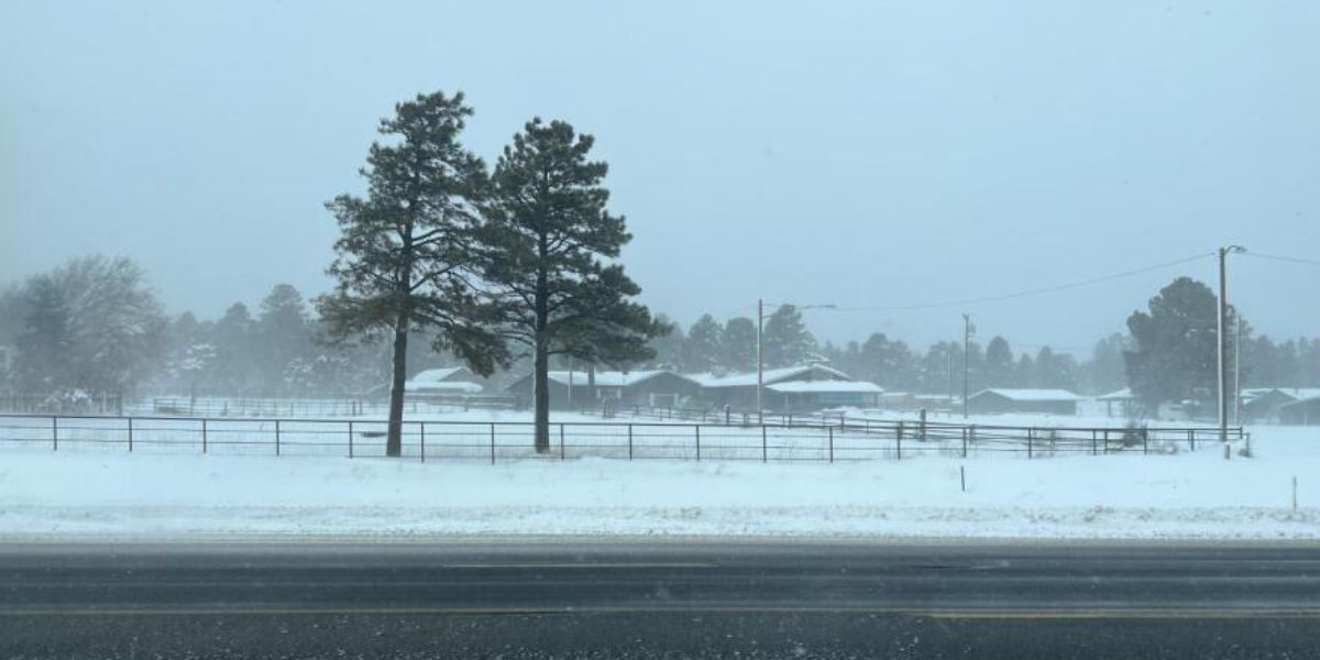 Arizona Weather Forecast Prepare for Cold Temps and Strong Winds